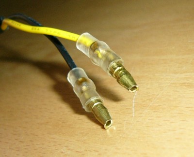 Silurstecker.JPG