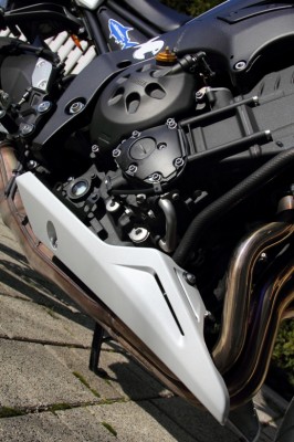 FZ8-8rezize.JPG